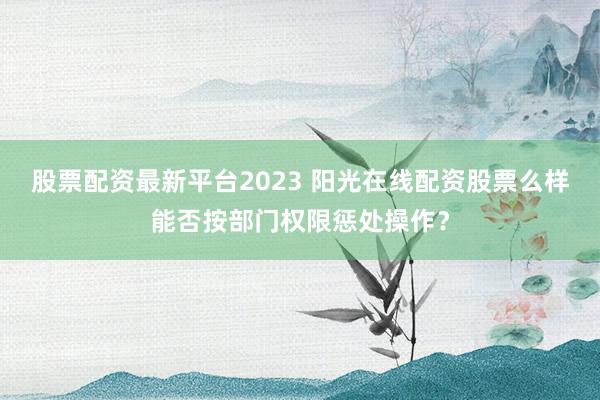 股票配资最新平台2023 阳光在线配资股票么样能否按部门权限惩处操作?