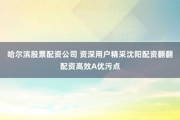 哈尔滨股票配资公司 资深用户精采沈阳配资翻翻配资高效A优污点